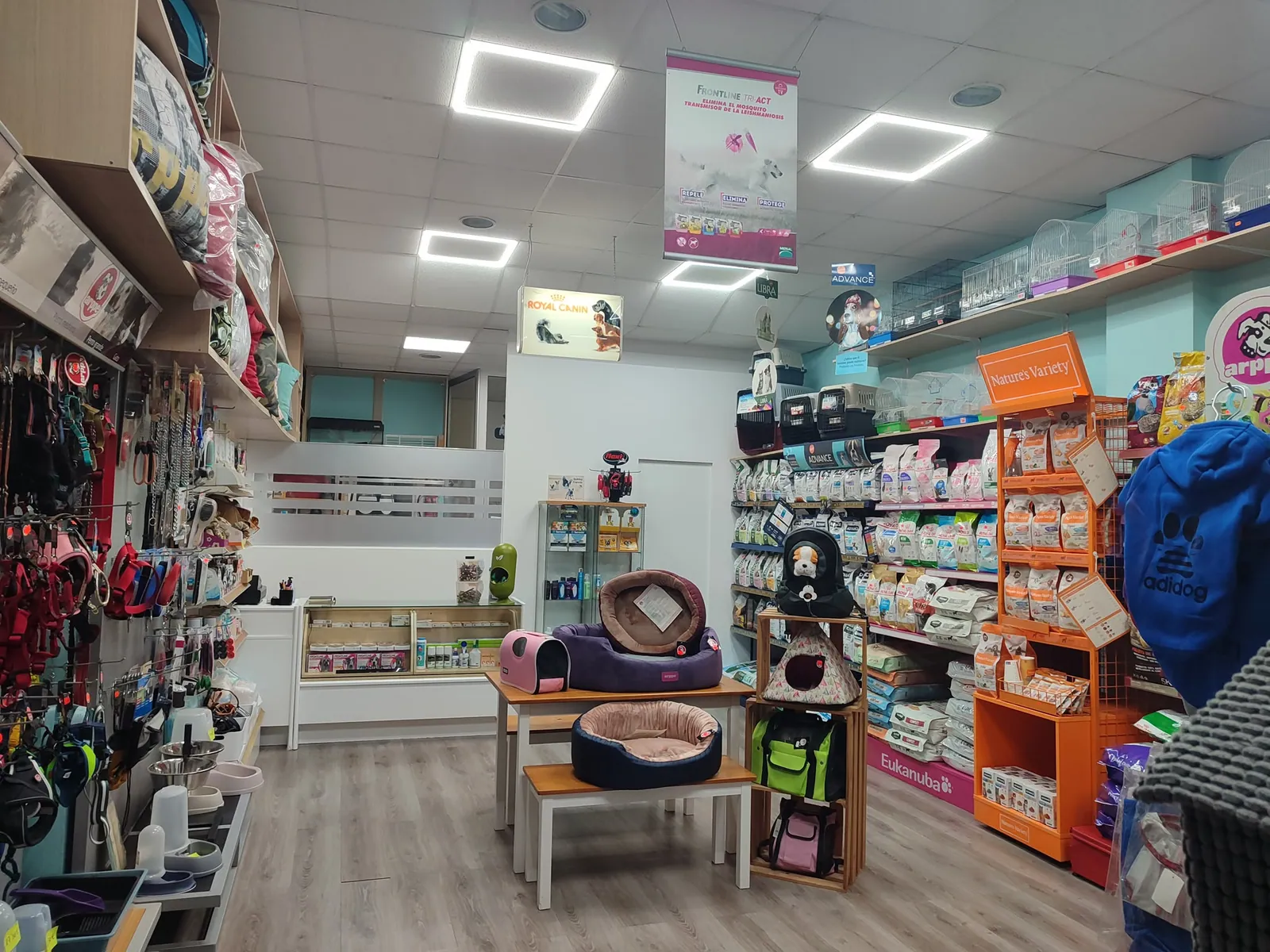 Peluquería canina con instalaciones reformadas