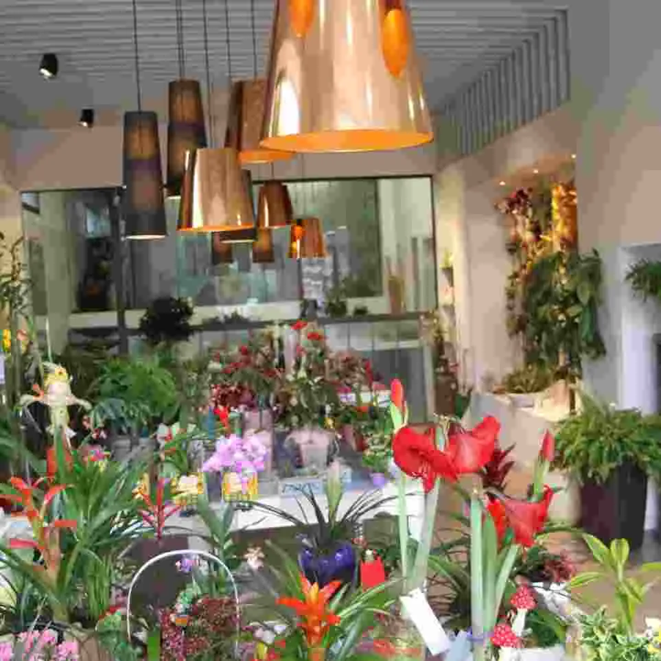 Floristería | 30 años de actividad | Clientela fiel